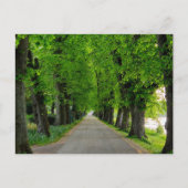 Bäume Postkarte (Vorderseite)
