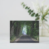 Bäume Postkarte (Stehend Vorderseite)
