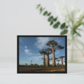 BÄUME POSTKARTE (Stehend Vorderseite)