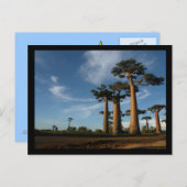 BÄUME POSTKARTE (Vorne/Hinten)