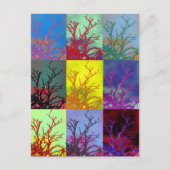 BÄUME POSTKARTE (Vorderseite)