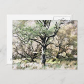 BÄUME POSTKARTE (Vorne/Hinten)