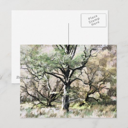 BÄUME POSTKARTE (Vorne/Hinten)