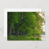 Bäume Postkarte (Vorne/Hinten)
