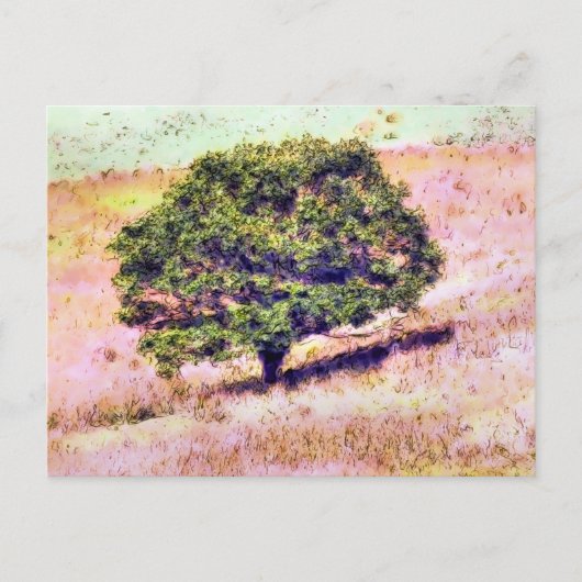 BÄUME POSTKARTE (Vorderseite)