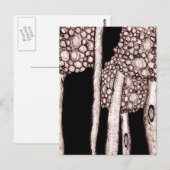 Bäume Postkarte (Vorne/Hinten)