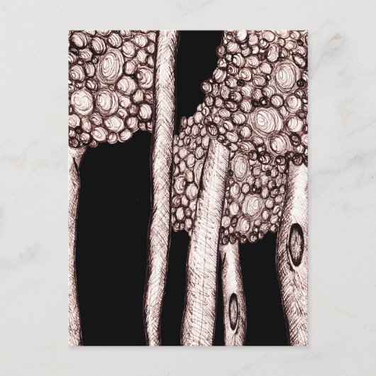 Bäume Postkarte (Vorderseite)