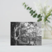 BÄUME POSTKARTE (Stehend Vorderseite)