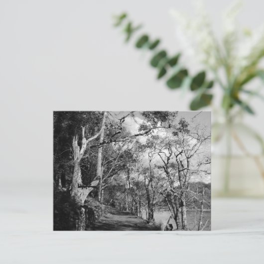 BÄUME POSTKARTE (Stehend Vorderseite)