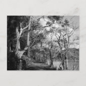 BÄUME POSTKARTE (Vorderseite)