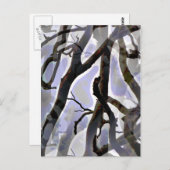 BÄUME POSTKARTE (Vorne/Hinten)