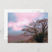 BÄUME POSTKARTE (Vorne/Hinten)