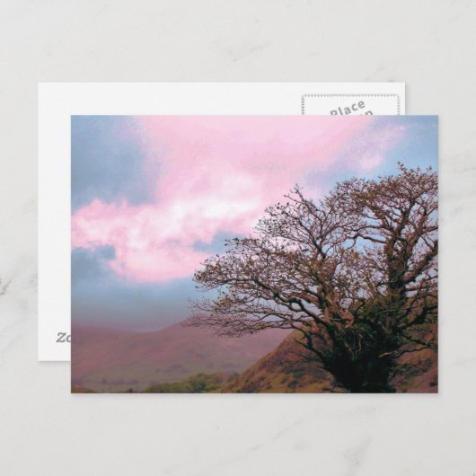 BÄUME POSTKARTE (Vorne/Hinten)