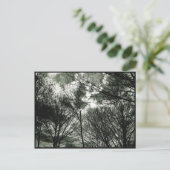 Bäume | Postkarte (Stehend Vorderseite)