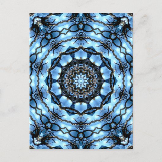 BÄUME POSTKARTE (Vorderseite)