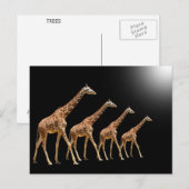 BÄUME POSTKARTE (Vorne/Hinten)