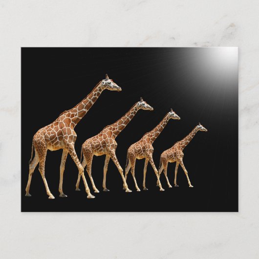BÄUME POSTKARTE (Vorderseite)
