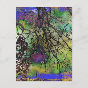Bäume Postkarte