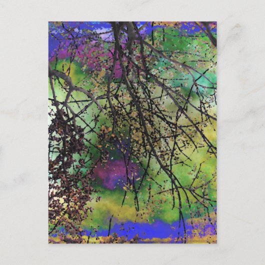 Bäume Postkarte (Vorderseite)
