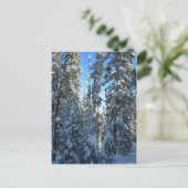 Bäume Postkarte (Stehend Vorderseite)