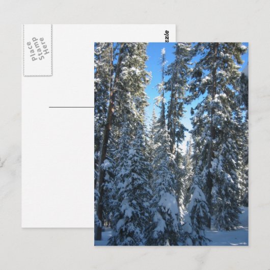 Bäume Postkarte (Vorne/Hinten)