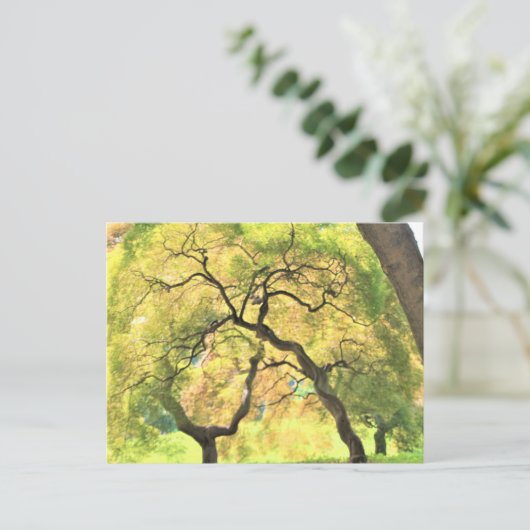 Bäume Postkarte (Stehend Vorderseite)