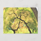 Bäume Postkarte (Vorderseite)