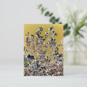 BÄUME POSTKARTE (Stehend Vorderseite)