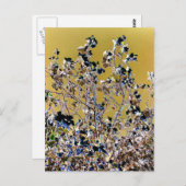 BÄUME POSTKARTE (Vorne/Hinten)