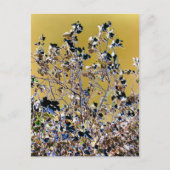 BÄUME POSTKARTE (Vorderseite)