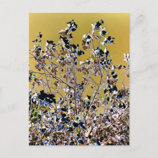 BÄUME POSTKARTE (Vorderseite)