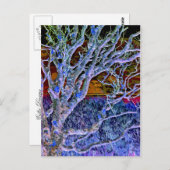 BÄUME POSTKARTE (Vorne/Hinten)