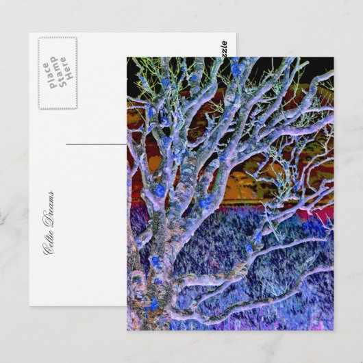 BÄUME POSTKARTE (Vorne/Hinten)