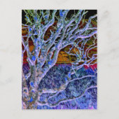 BÄUME POSTKARTE (Vorderseite)