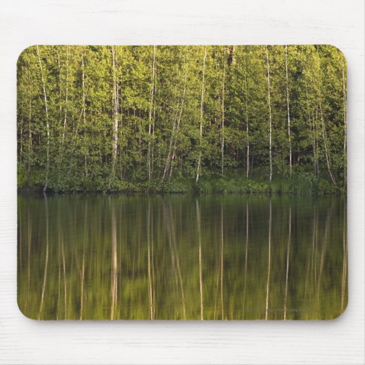 Bäume reflektiert im Wasser Mousepad (Vorne)