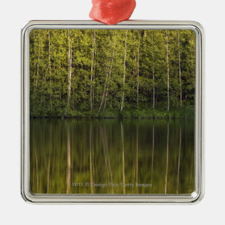 Bäume reflektiert im Wasser Silbernes Ornament