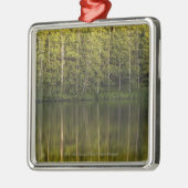 Bäume reflektiert im Wasser Silbernes Ornament (Links)