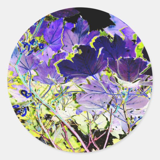 BÄUME RUNDER AUFKLEBER (Vorderseite)