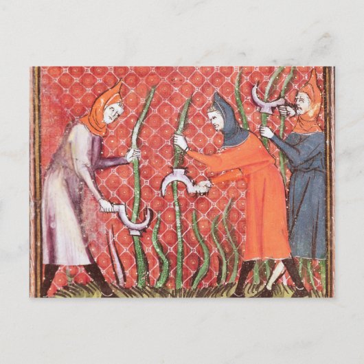 Bäume schneiden, von Ovide Moralize Postkarte (Vorderseite)
