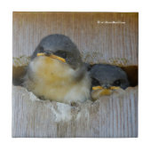 Bäume schwänzen Blick auf die große Welt Fliese (Vorderseite)