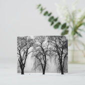 Bäume Silhouetten im Winter Postkarte (Stehend Vorderseite)
