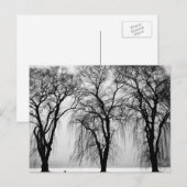 Bäume Silhouetten im Winter Postkarte (Vorne/Hinten)