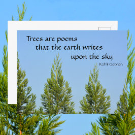 Bäume sind Gedichte Kahlil Gabran Zitat Fotografis Postkarte