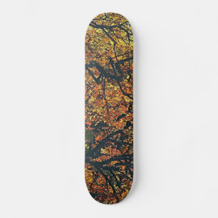 BÄUME SKATEBOARD
