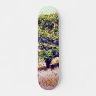 BÄUME SKATEBOARD