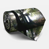 Bäume - Sonnenlicht durch Wälder Krawatte (Gerollt)