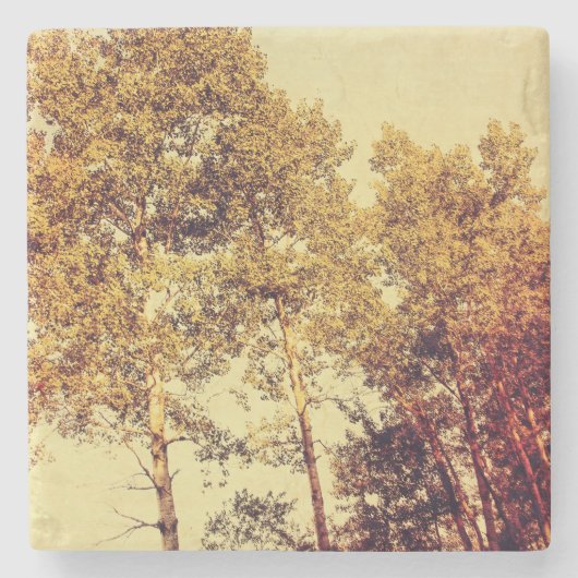 Bäume Steinuntersetzer (Vorderseite)