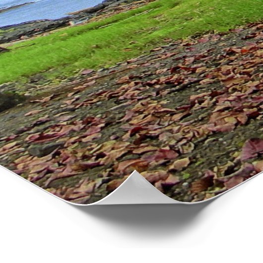 BÄUME SÜDHILO BAY - HAWAII POSTER (Ecke)