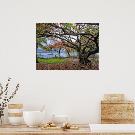 BÄUME SÜDHILO BAY - HAWAII POSTER (Küche)