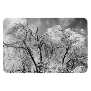 Bäume tragen Winter Magnet